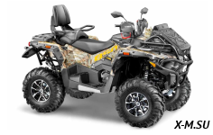 Квадроцикл STELS ATV850 (PE) ГЕПАРД 2.0 K05 EPS GN